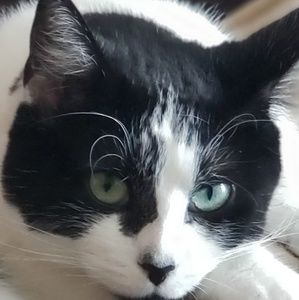 Meet your Posher, Emma